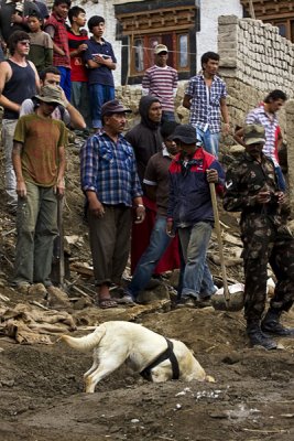 Ladakh-flood. By this time it had become a search only