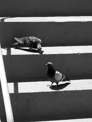 No. 9 * Two Of Us