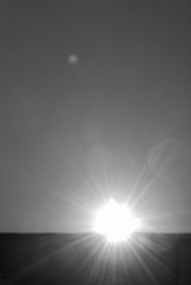 No. 12 * Good Day Sunshine