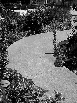 No. 24 - The Long And Winding Road
