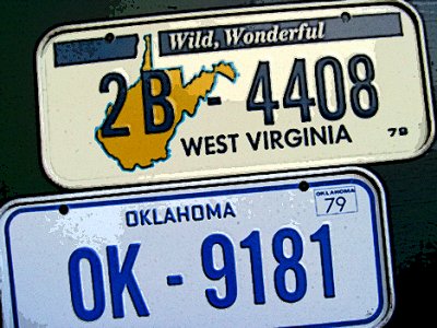 6370♦honeycomb mini license plate