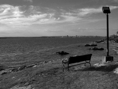 new haven harbour bench