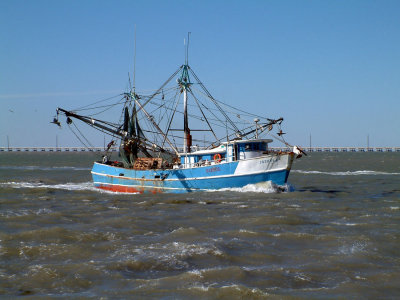 Shrimp Boat SouthTexas