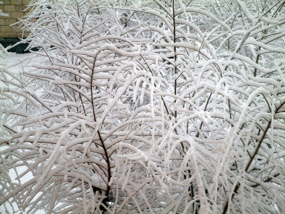 Volgograd SnowFall-03-03