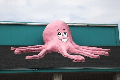 Everybody needs an Octopus on the roof