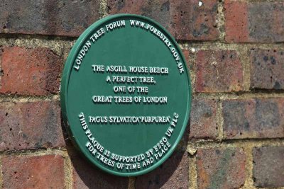 Plaque at Asgill House