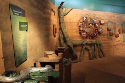 Bowali Museum exhibits, sparse but interesting