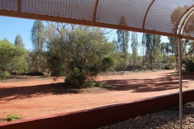 Outside our hotel room in Ayers Rock