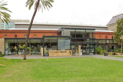 South Australia Museum - natural history and aboriginal stuff