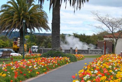 Geothermal vents abound