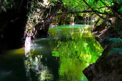 River that flows through the Waitomo glow worm caves