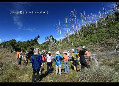 g1/43/615743/3/114910607.4pMTu2LQ.jpg