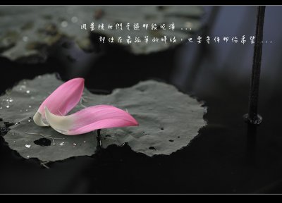 g1/43/615743/3/116223792.jhmk9Mju.jpg