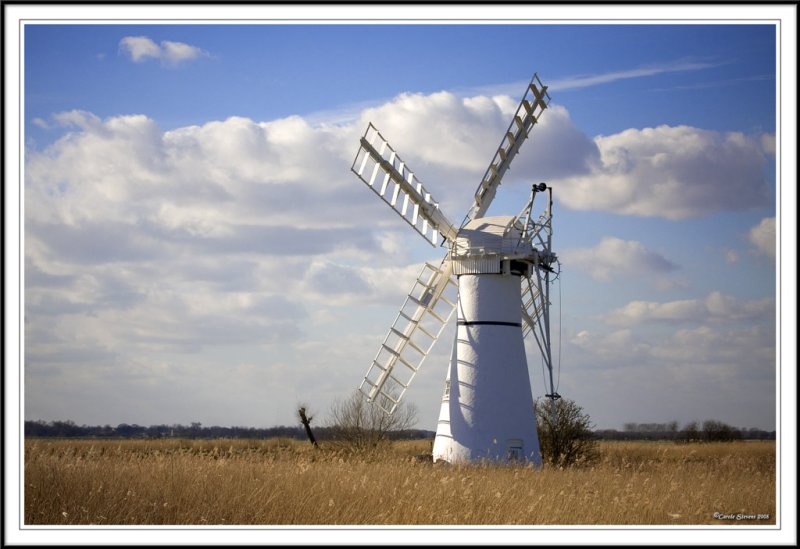 The Colour of Thurne!