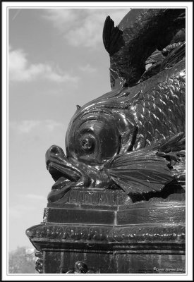 Fishlamp!