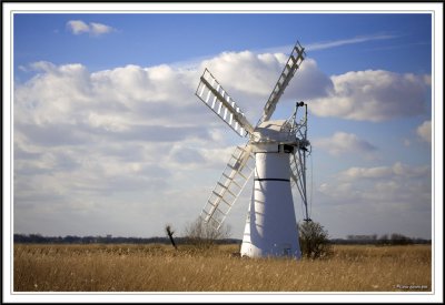 The Colour of Thurne!