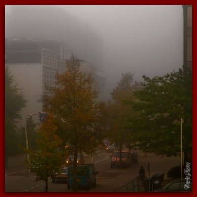 22 - Morning Fog