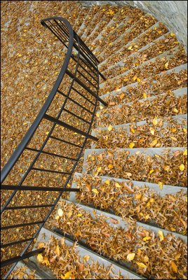 Leaves on a Spiral Staircase