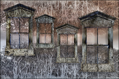 Trees-Windows-Clouds & Crows Collages