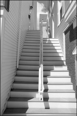 Steps Camden Maine