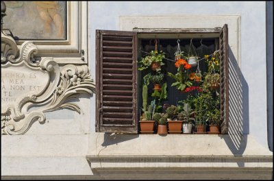 Mural on building in Piazza della Rotonda outside the Pantheon-Window Detail