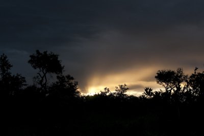 Sabi Sand Sunset