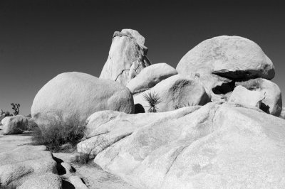 Joshua Tree Rocks, California, USA