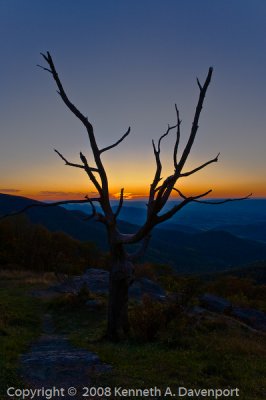 Sunset Silhouette