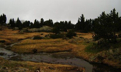 g1/43/768343/3/98205050.54Wlf184.jpg