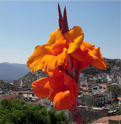 Taxco Mexico