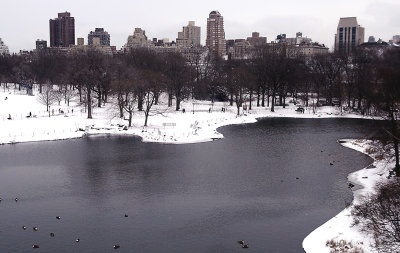 Winter Scenes from Central Park 2009