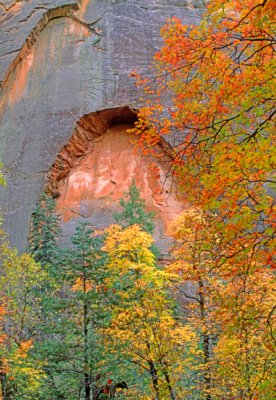 Arch, West Fork, Red Rock-Secret Mountain Wilderness, AZ