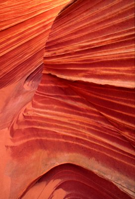 Rock detail, North Coyote Buttes, AZ