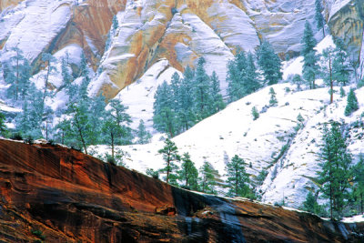 Snow Covered Cliffs, Zion National Park, UT