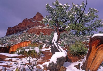 Soldiers Pass Trail, Sedona, AZ