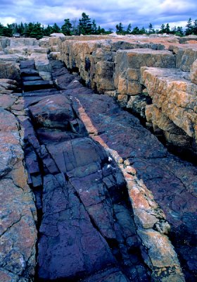 Parallel dikes of basalt in granite, Schoodic Point, Acadia National Park, ME