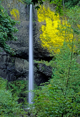 Latrouelle Falls, Columbia River Gorge, OR