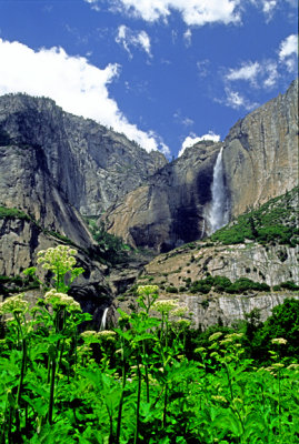 (AH16) Hanging valley, Yosemite Falls, Yosemite National Park, CA