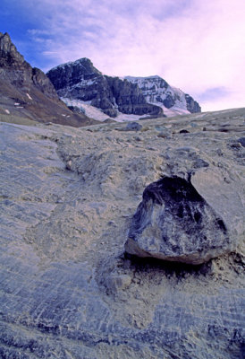 (AG17) Erratic, till, and striations on recently glaciated rock surface, Athabasca Glacier, Alberta, Canada