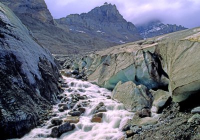 (AG11) Meltwater emanating from the base of Athabasca Glacier, Alberta, Canada