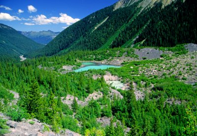 (AG24) Recessional moraine forms a dam for a small lake, Mt. Rainier National Park, WA