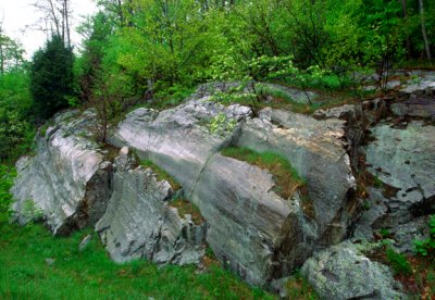 (CG22) Glacial grooves, Keewaydin State Park, NY