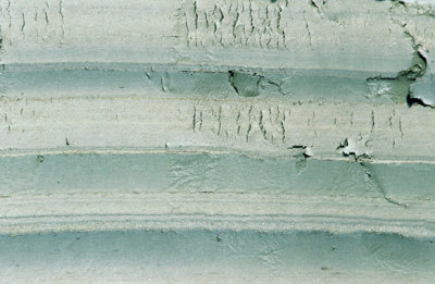 (CG36) Varves deposited in glacial Lake Hitchcock (the middle darker gray layer is 3/8 inch thick), Putney VT.
