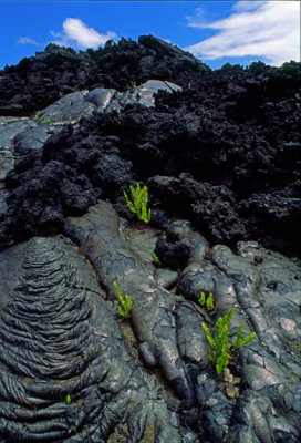 Aa flow on pahoehoe flow, Hawaii Volcanoes National Park, HI