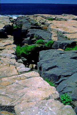 Basalt dike in granite, Acadia National Park, ME