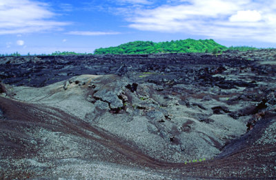 (IG63) Kipuka, an area surrounded by lava flows, HI