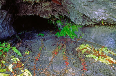 (IG64) Lava tube with lava cicles, Hawaii Volcanoes National Park, HI
