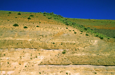 Reverse fault near Yakima, WA