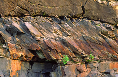 (SG14) Close-up of cleavage, Waits River Fm, near Barre, VT