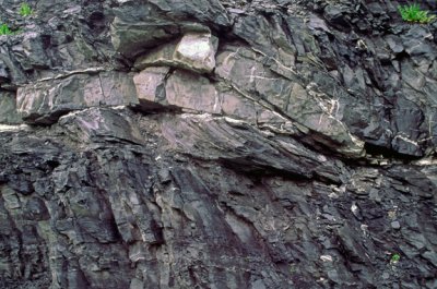 (SG19) Small fold bend thrust fault, Trenton Limestone near South Hero, VT